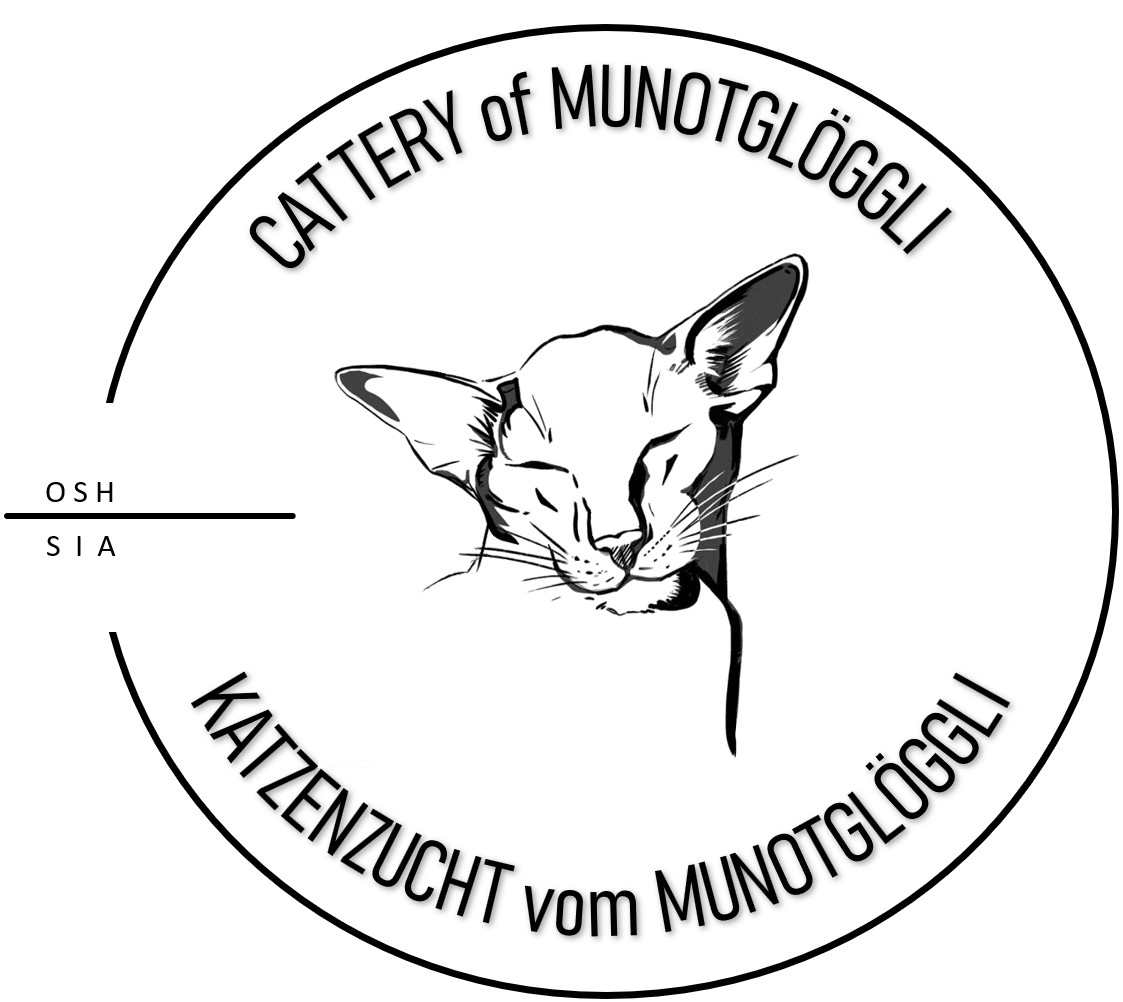 Cattery Munotgl&ouml;ggli